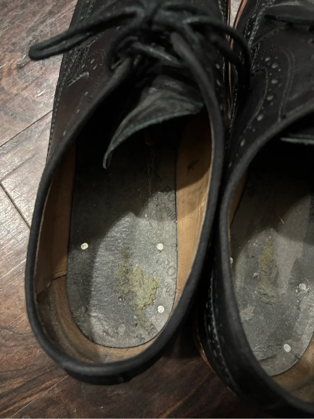 Johnston & Murphy Black Leather Wingtip Oxfords with Brown Trim